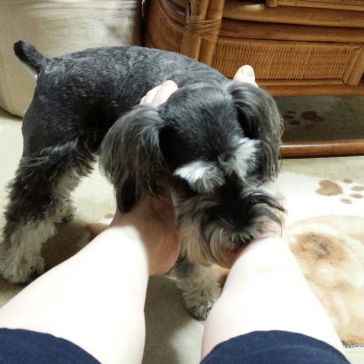 E4978937 8a59 46b6 88c6 507291a31675