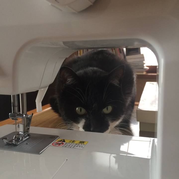 E497b6b9 b6a1 4f23 8726 be59a60329cd