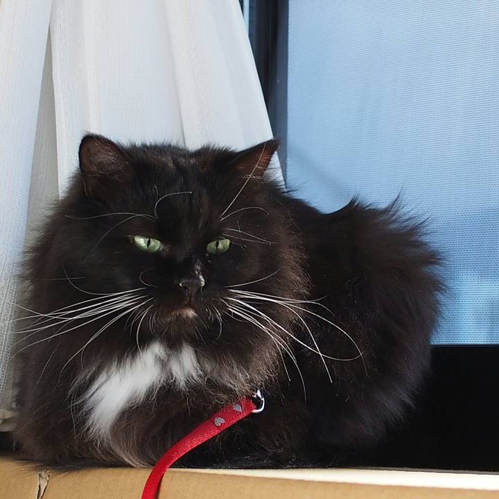 E497b8ae 6679 4dfd 9f5b 66121bec7a11