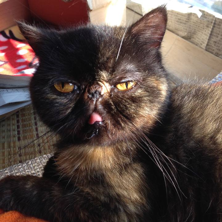 E497bf56 6de0 43dc b300 bc942ce8758d