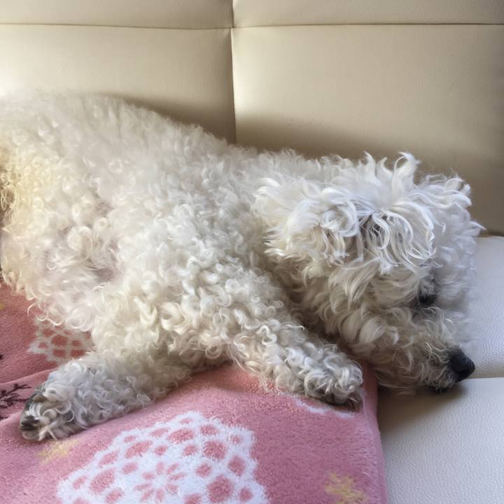 E497c1a1 f5cf 4709 a067 f5c06763e9f8