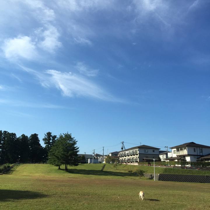 E497ce28 c789 4559 b894 e93b80146a0c