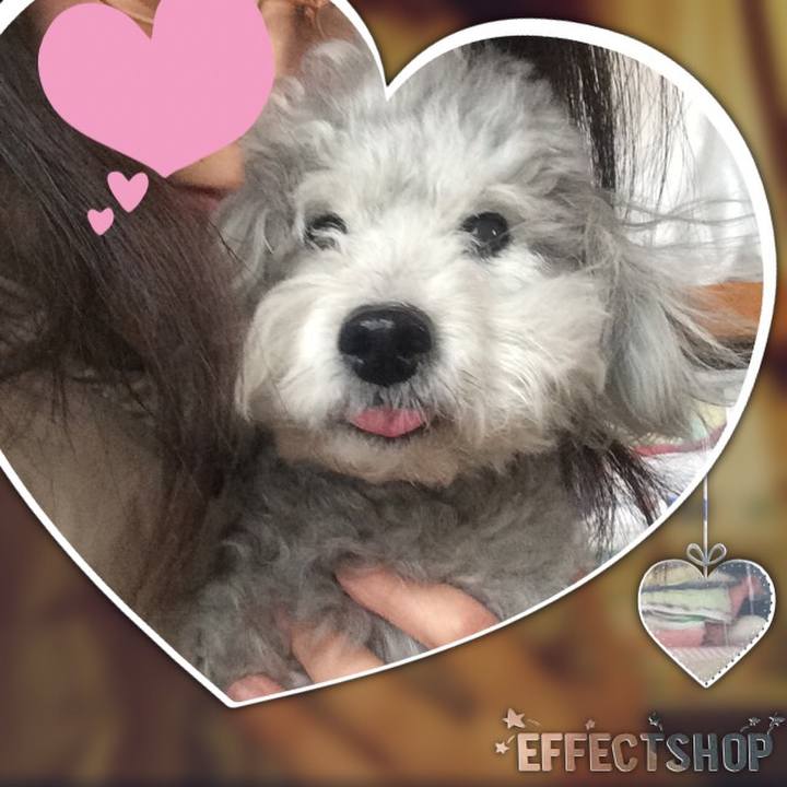 E49878c2 8fe0 46d2 acb9 34d4d709f4c9