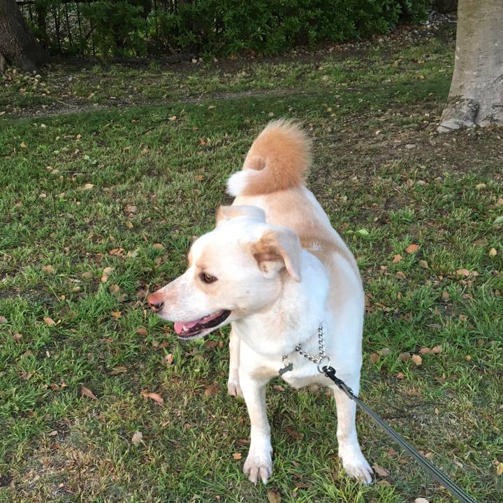 E498a159 8a74 453c 8d98 b88fcdcf874e