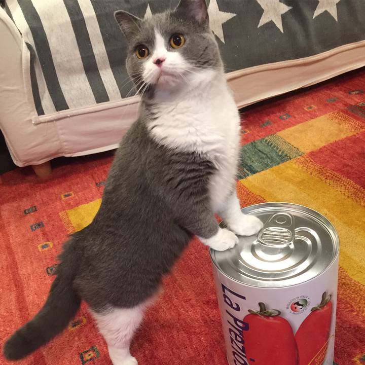 E498f19d 5a74 4800 b4ed 43458aa4f0c5