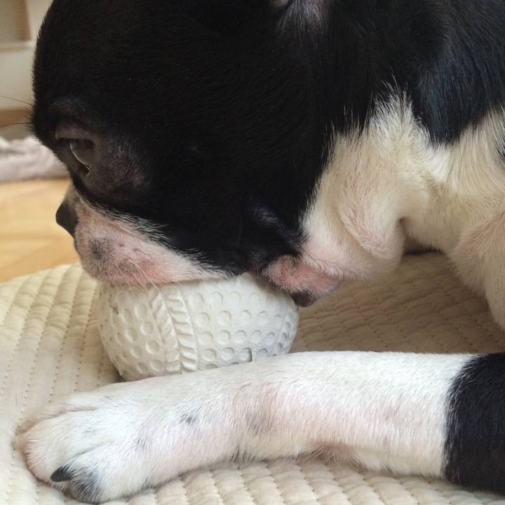 E49900a7 fb3f 4302 b730 7ce1f732dada