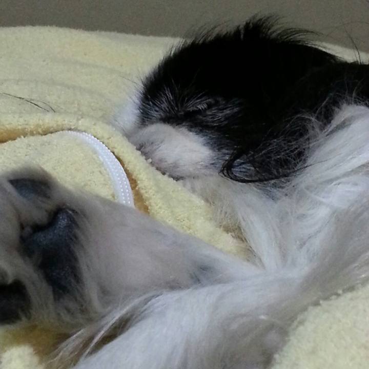 E4994679 23e1 4582 8be7 0e950ef55dea