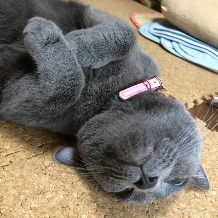 E499ba30 30c1 4c61 8fa7 af1001e0afdd