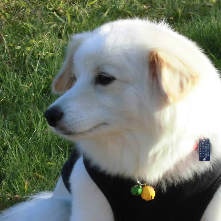 E499d29c d376 4c8b bbb8 f3afd8bbb6c9