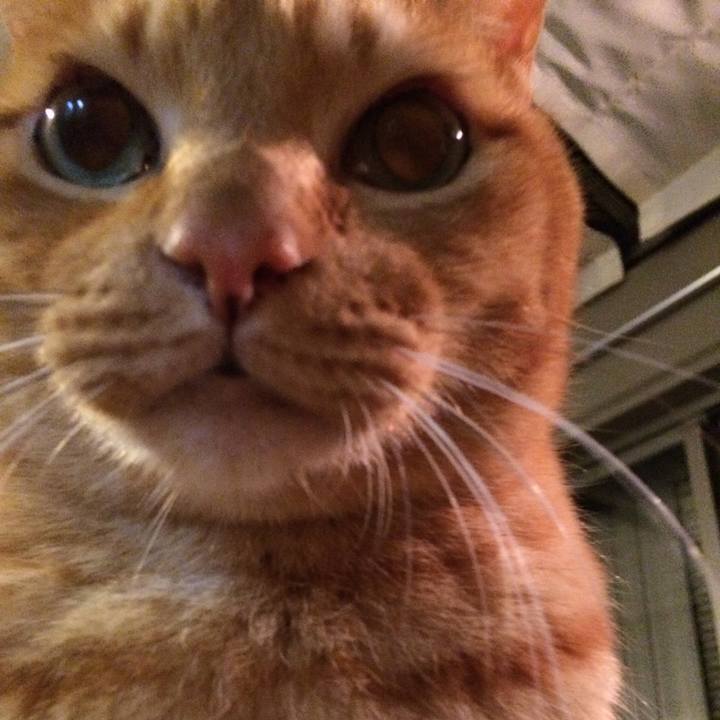 E499ea89 a6a5 4bed 9eb3 f519df1a6f95