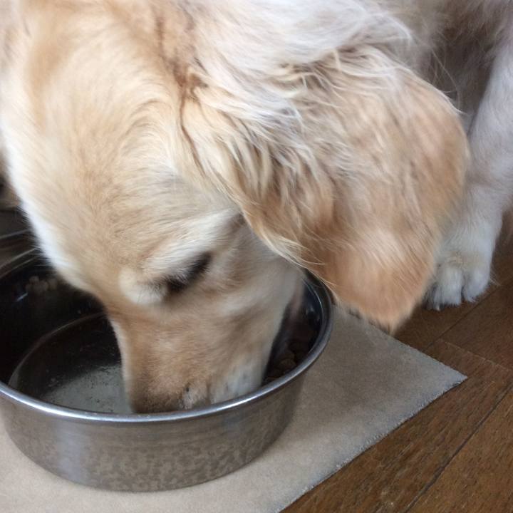 E49a1793 9d6e 4a8e 9ca2 a9bb68901bdf