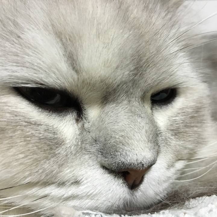 E49a5783 36d4 4463 b77b e9736bdcf40e