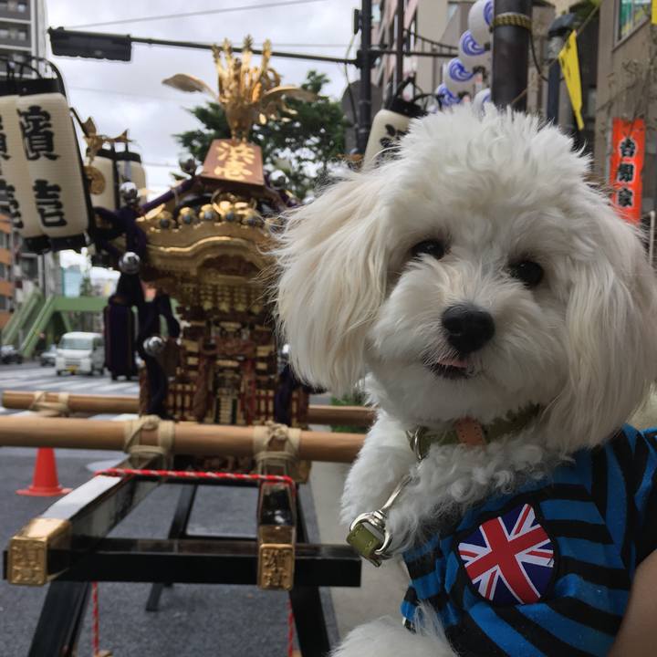 E49aae7a 9fb0 4d56 a914 b8b8c3a9afd0