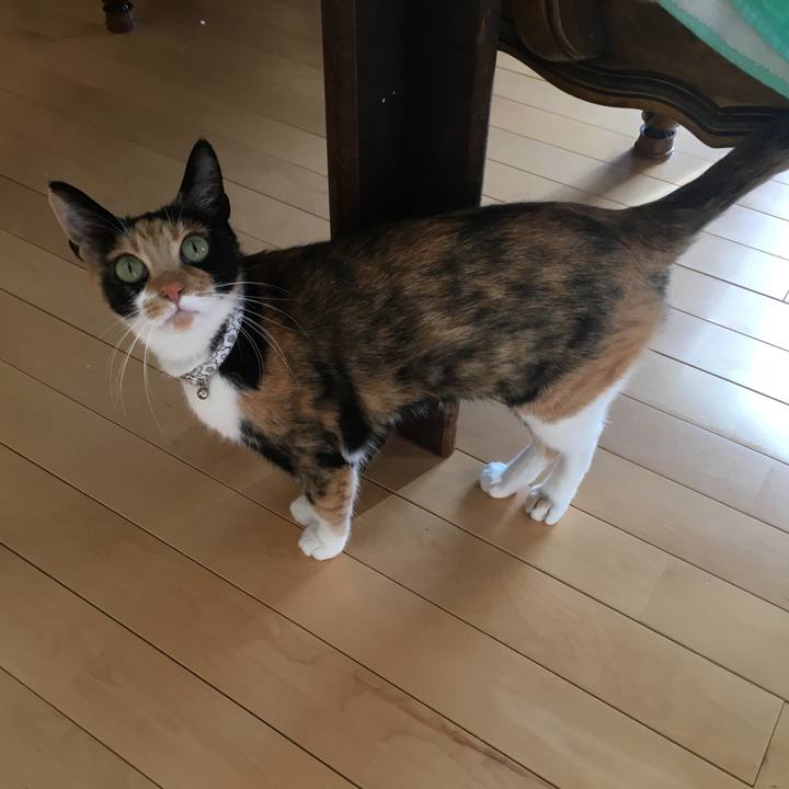 E49adab4 af0a 4af1 9cd4 665a58c7419f