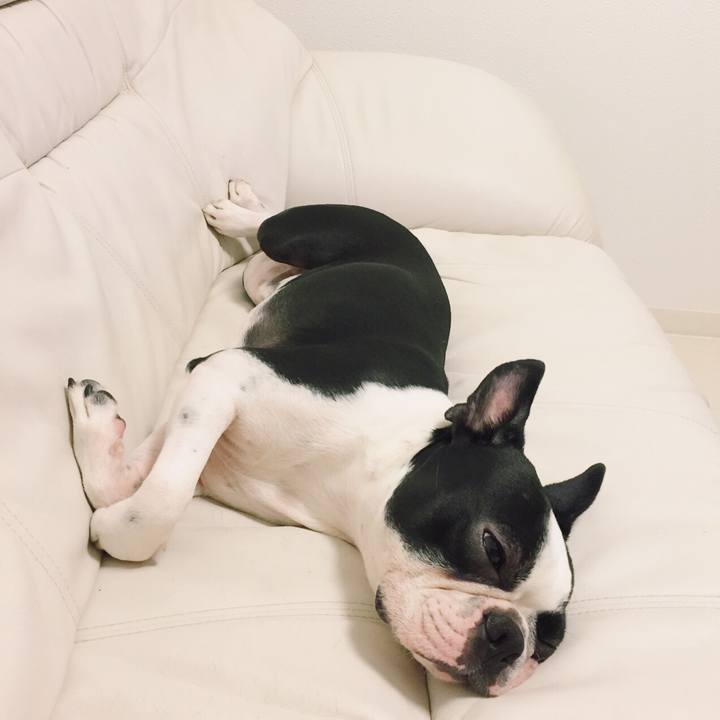 E49ae186 c53e 4265 bedb 9dd27dd3c6dc