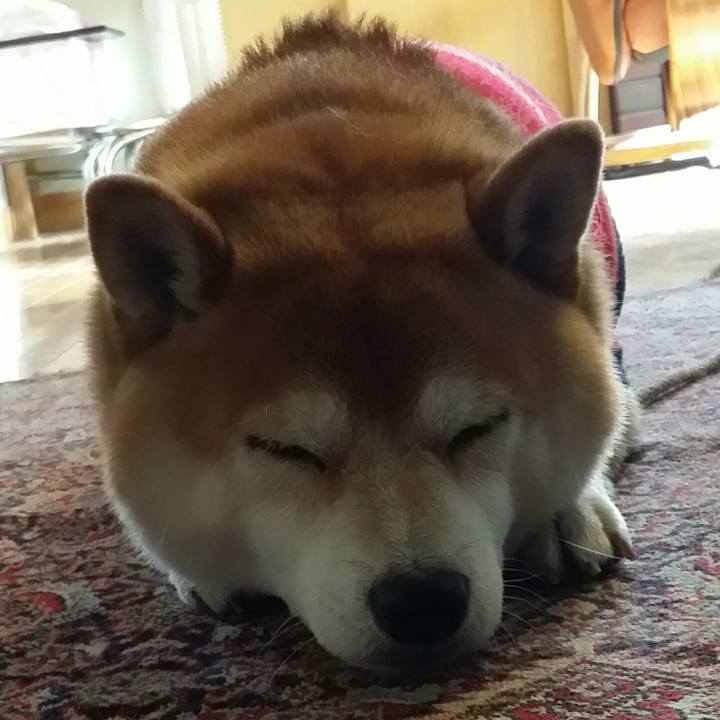 E49b0a6f fcc4 4124 9379 8a19b3fdf7a3