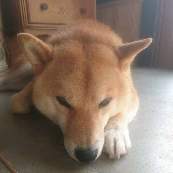 E49cb873 0cdc 4aec 8979 cf4e17cfb271