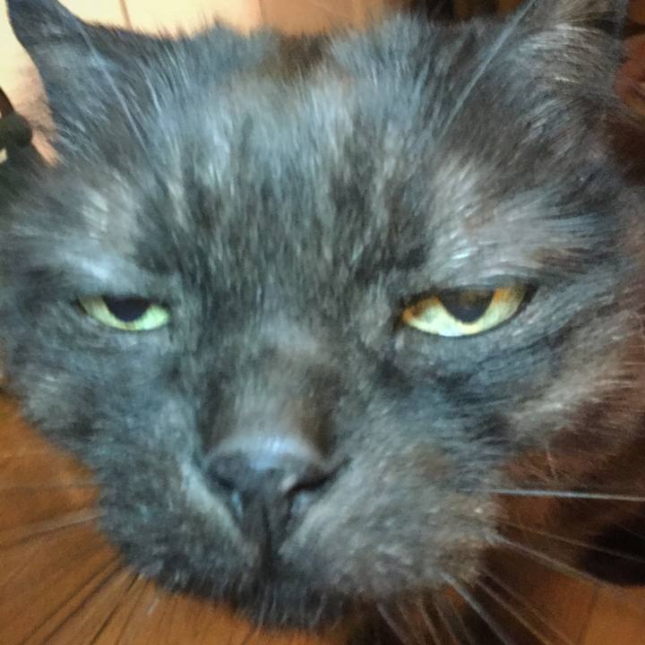 E49cbbc5 7fb3 4f47 869f 4784d9fac773