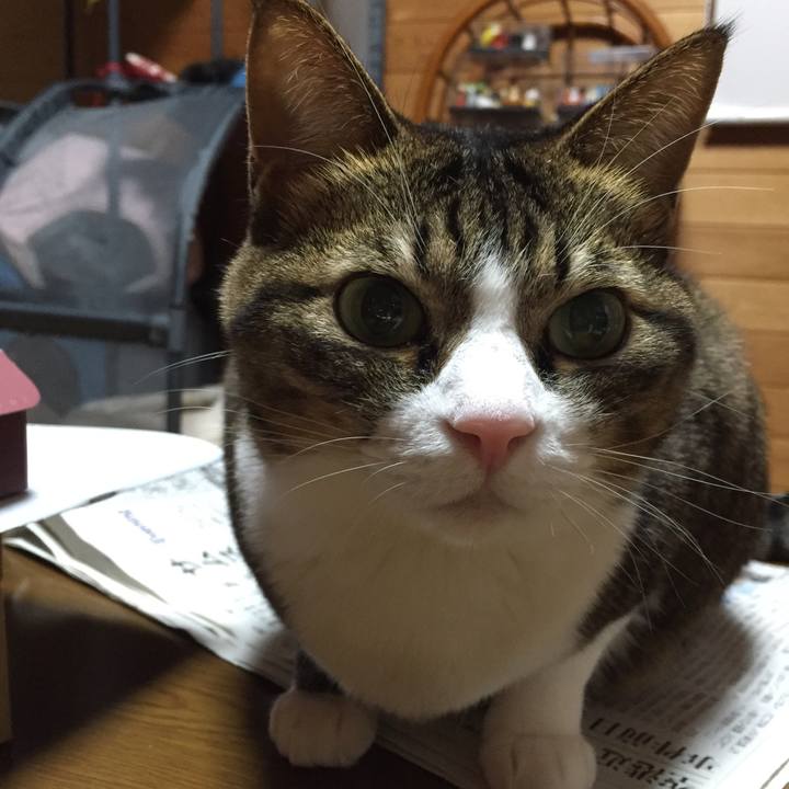 E49dd8e6 314d 4d0c aeb2 8d3fe7e1c482