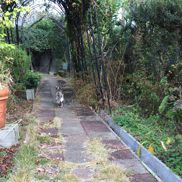 E49e4ba3 5dca 4997 a008 79d46f9400a1