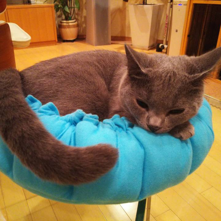 E49ee9fb 0fe7 404e 99dc 1fbca8cf8a89