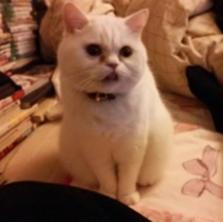 E49f2da6 a6d9 4d8d ae94 16264faa71eb