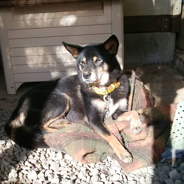 E49f401f c50b 46d8 a8d5 3ee1ba758a6c