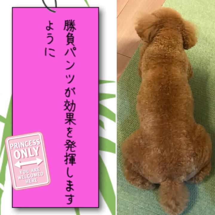 E49f4a74 f870 4100 a40e 57317da9be72