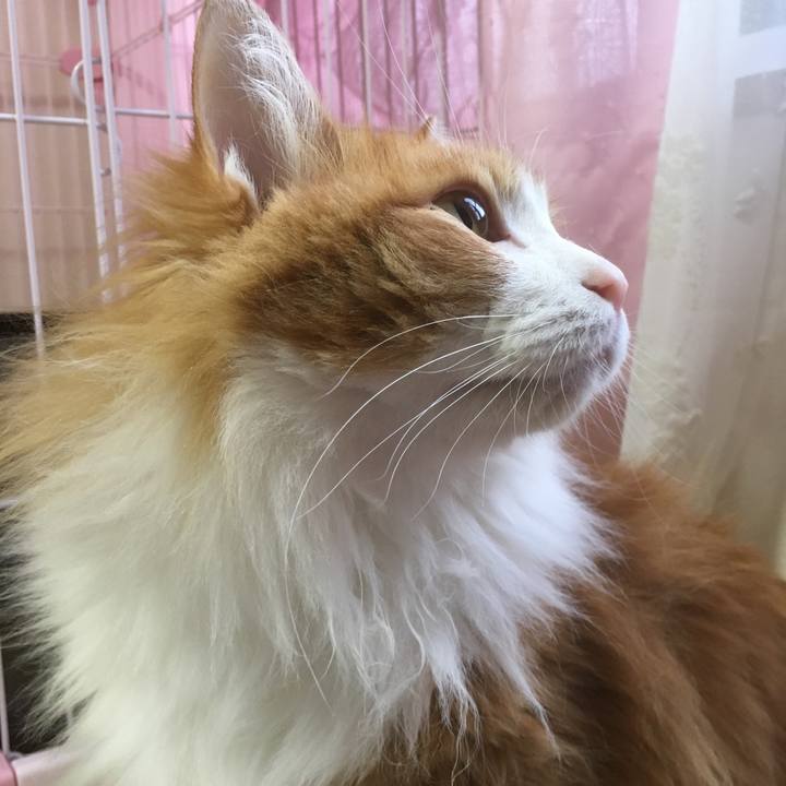 E4a03c4c ba7b 46ee a2fa a7fe8b5881a6