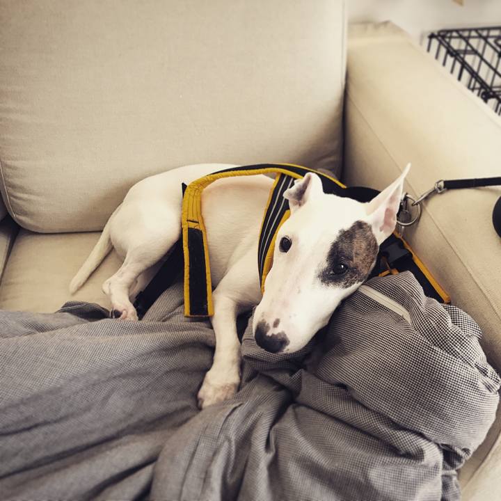 E4a13159 0eca 4ee4 a3eb f104141006c3