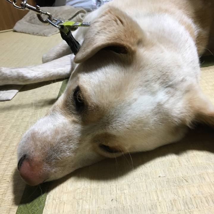 E4a172b5 6ba0 4e75 a714 a06a9f9e06a6