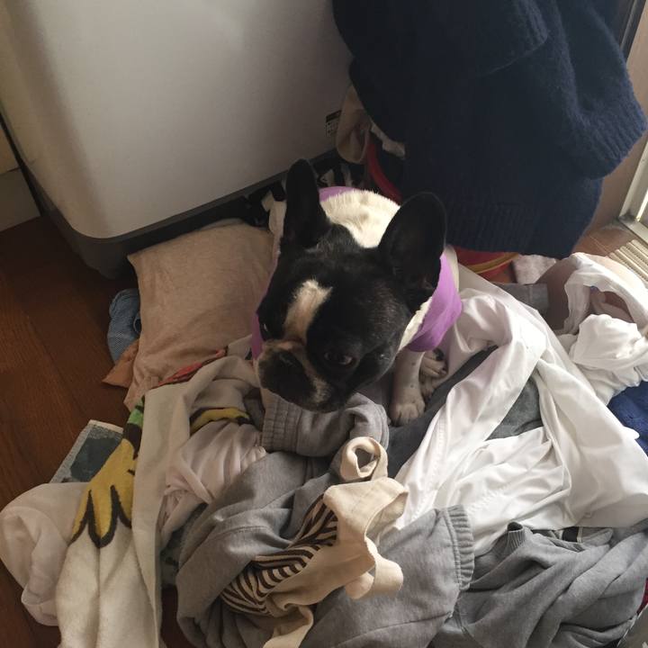 E4a19390 95b3 43c2 92e3 38ddb2d2a29a