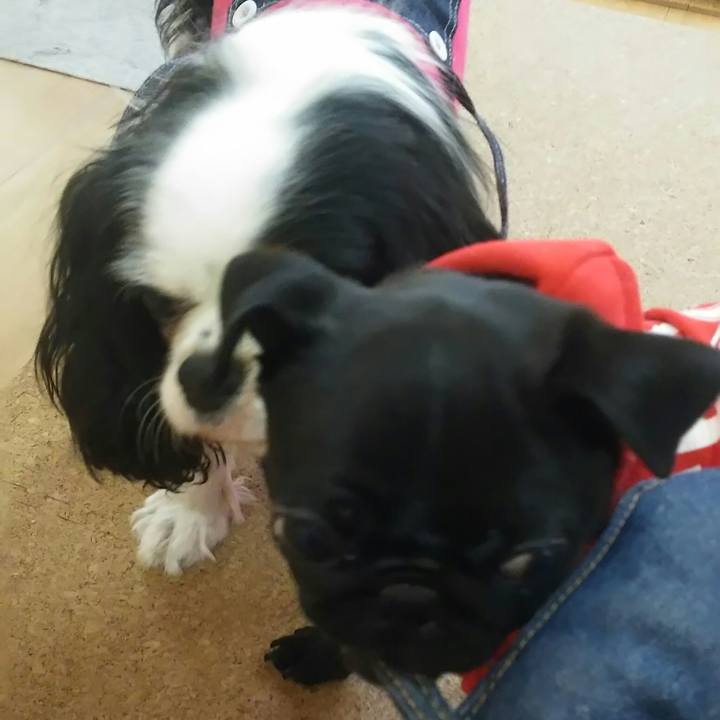 E4a1d0b5 3d10 4876 a4a6 8ee2bba553d6