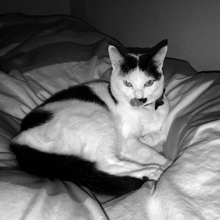 E4a1e953 b7fe 4200 ac26 2adda028aa43