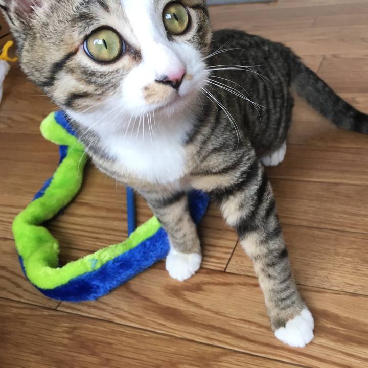 E4a3b221 8d01 4c37 b68c 51f5482c77f6