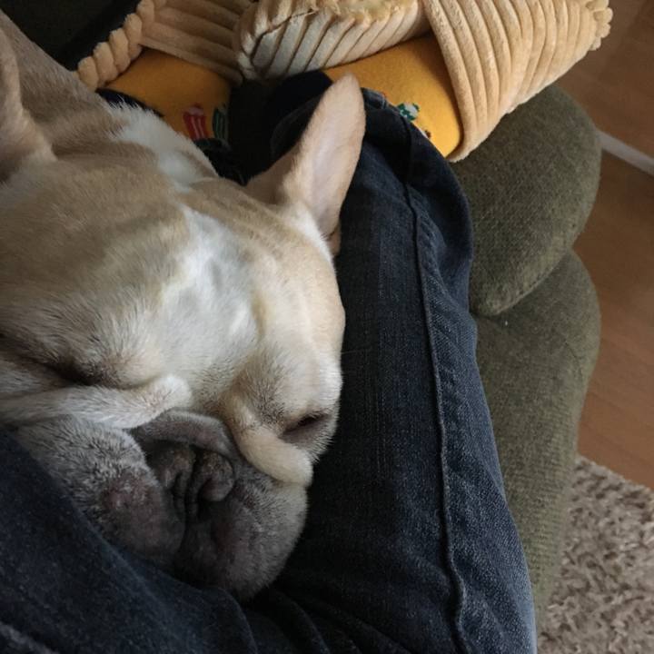 E4a45a56 a6e7 467f bf0f 6c22befbff05