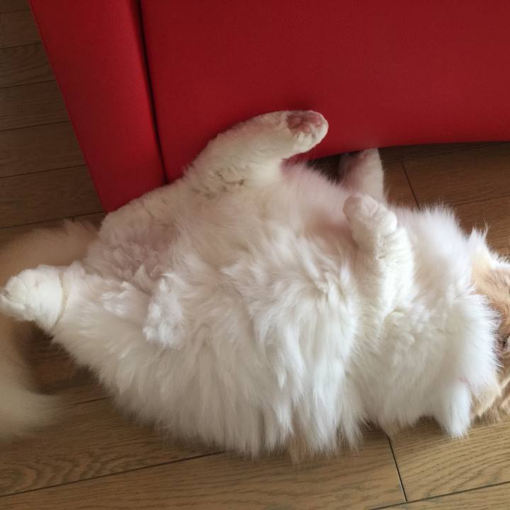 E4a46bdc d5a5 44c1 bdf7 9675a323a2e3