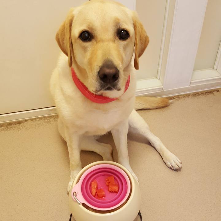 E4a47349 209e 4021 bfea ad1e769513ff