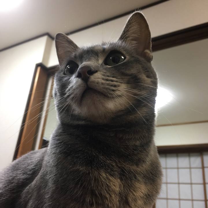 E4a4c0a2 e4b2 473f a9e5 a50b4ae3917d