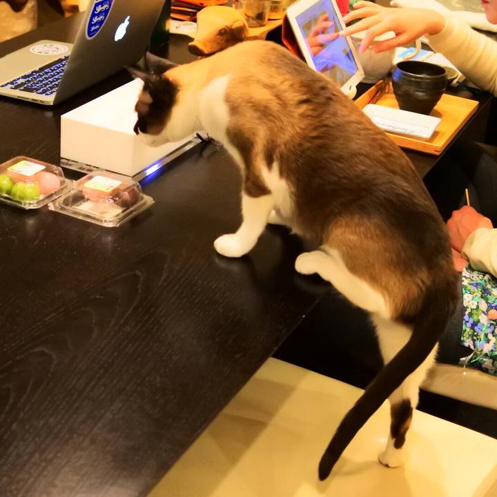 E4a656e3 34a9 4d99 8bc1 cc67290eb559