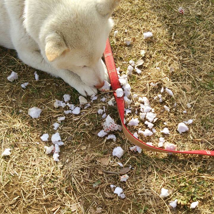 E4a6f8d4 da06 4adc be8b 91150184d00f