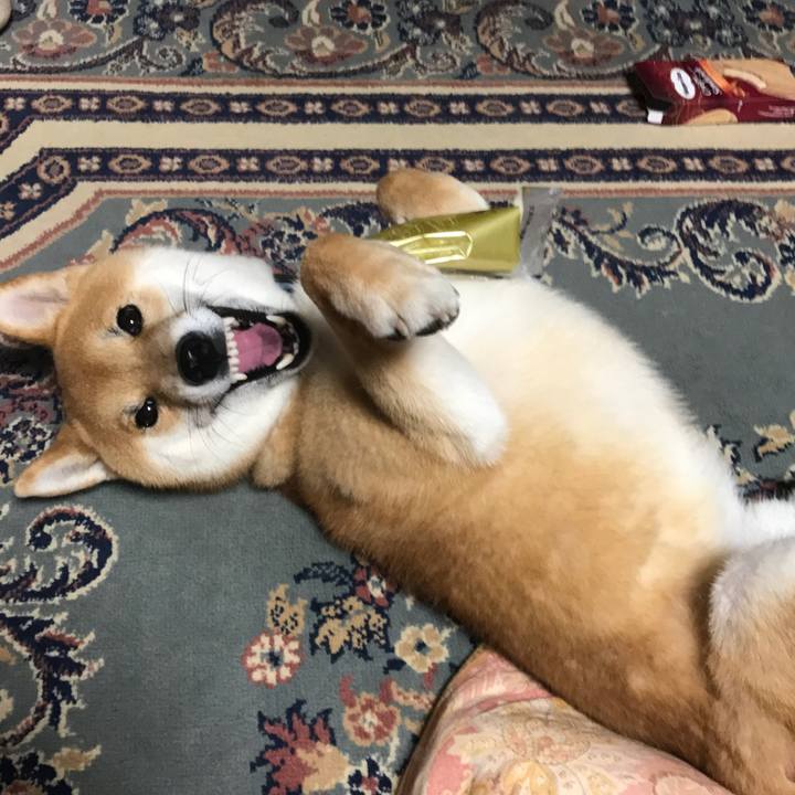 E4a7193e 9df8 4884 bfc9 be67ed413ec2