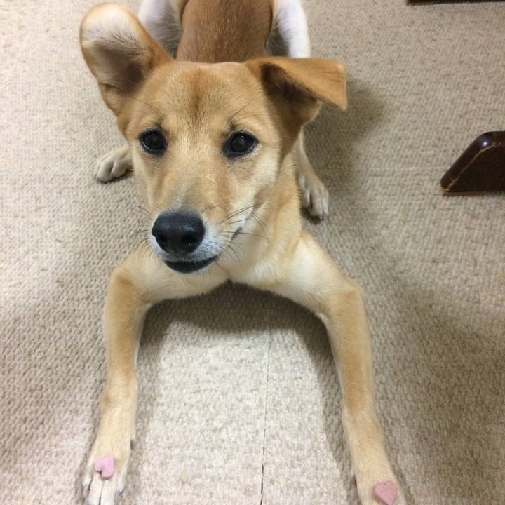 E4a759a9 2463 40c3 9040 a27fc60c88c9