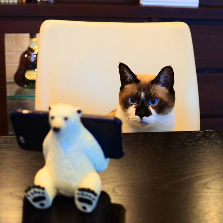 E4a7f8af ae47 4793 86e6 51e0b2943aea