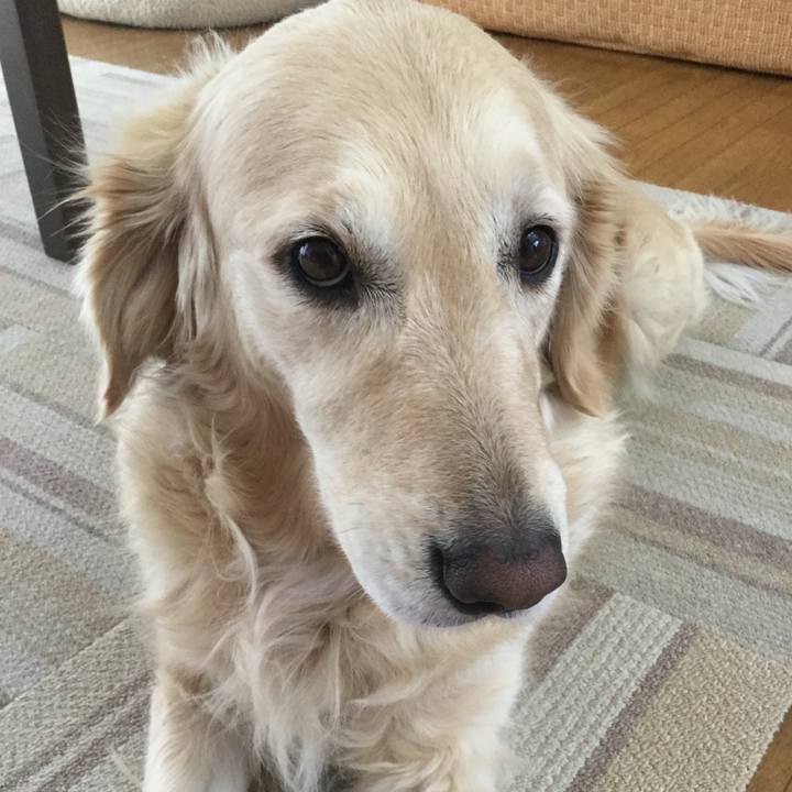 E4a8b51e 6a6b 4140 809c 99724be912ef