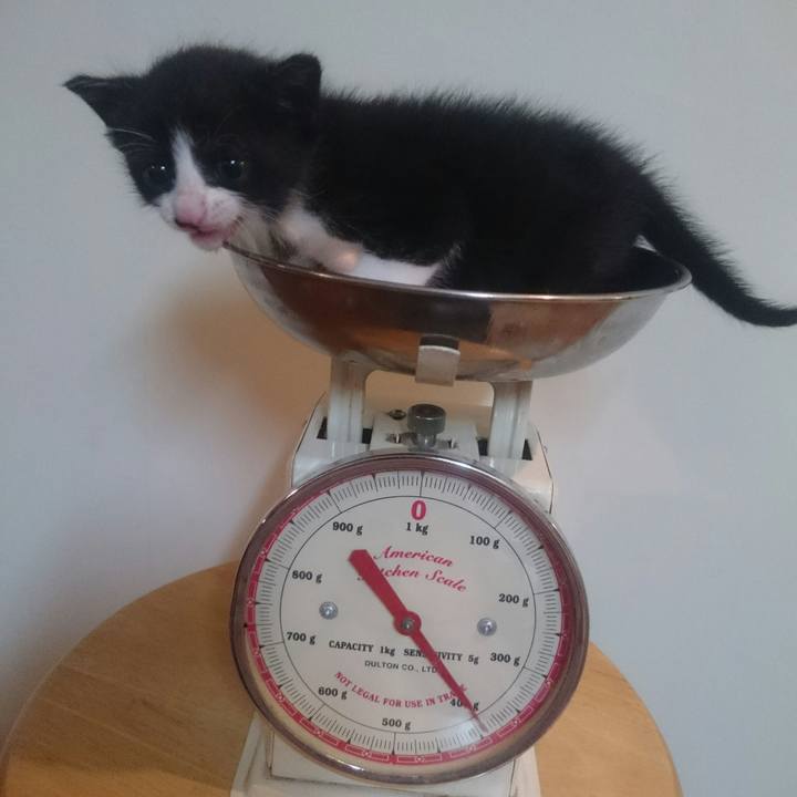 E4aa7541 f814 4641 bf89 0aa2b21ca63d