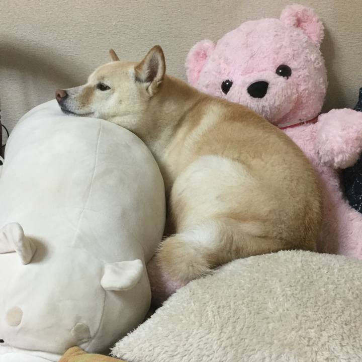 E4aac89b ab46 47a5 a3db 1536fe2d8764