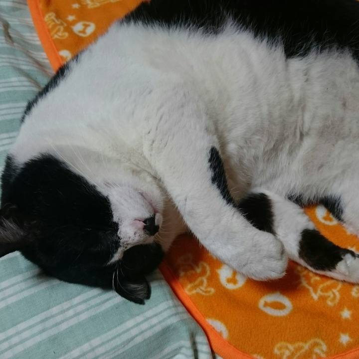 E4aafb2e c42b 4ed5 8be8 fcb47c016e5e