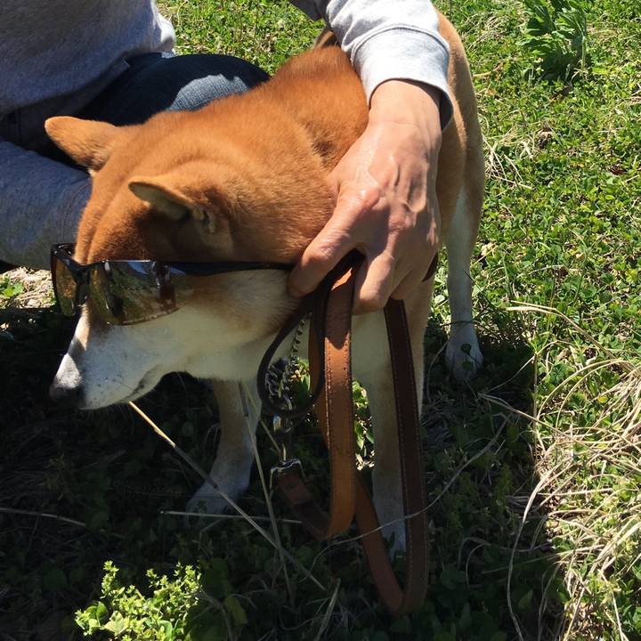 E4ab385b 3a19 4153 9f5c d8e95b712ca7