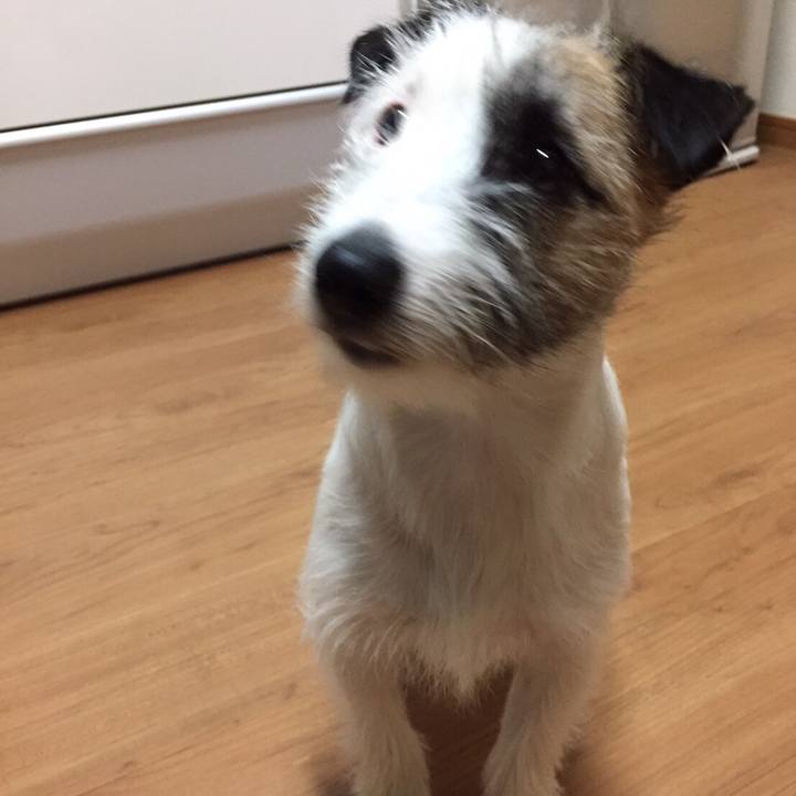 E4ac7108 3218 41c4 895e 8d5fbf528677